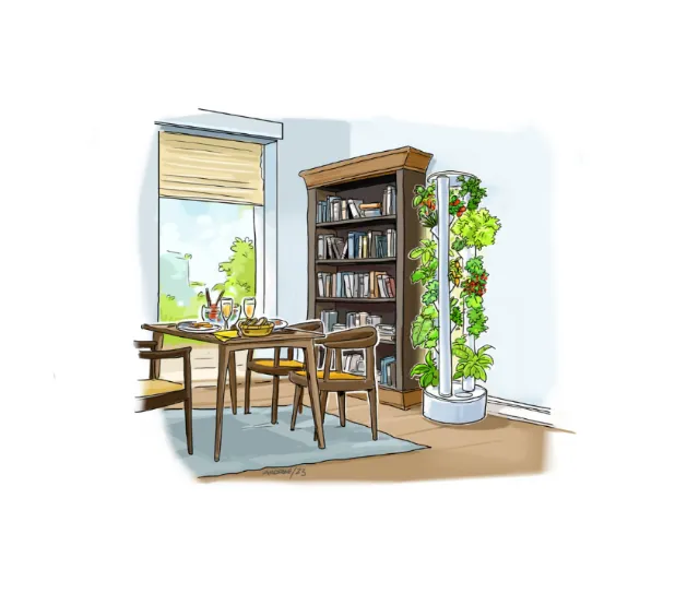Dining table with chairs, bookshelf, and indoor plants by window