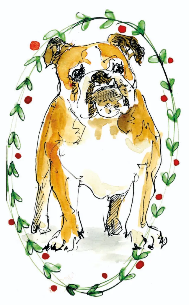 Brown and white bulldog illustration framed by leafy vine with red berries