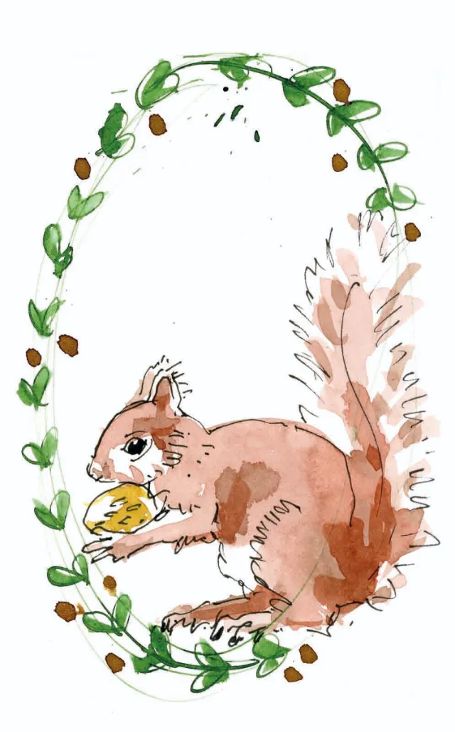 Red squirrel holding nut inside green leafy oval frame watercolor illustration