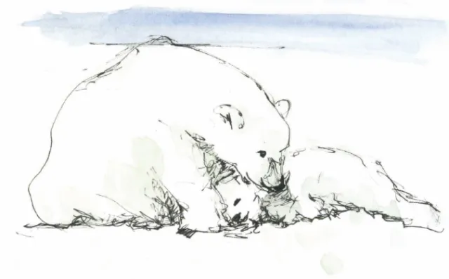 Line drawing of a polar bear mother and two cubs resting