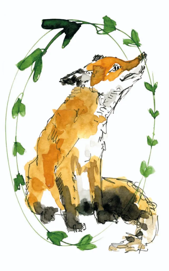Watercolor painting of a fox with green vine leaves