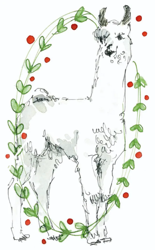Sketch of a llama framed by green leaves and red berries