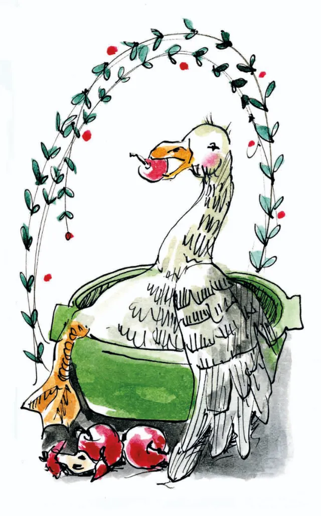 Illustration of a happy goose with apples and basket by Claus Dorsch