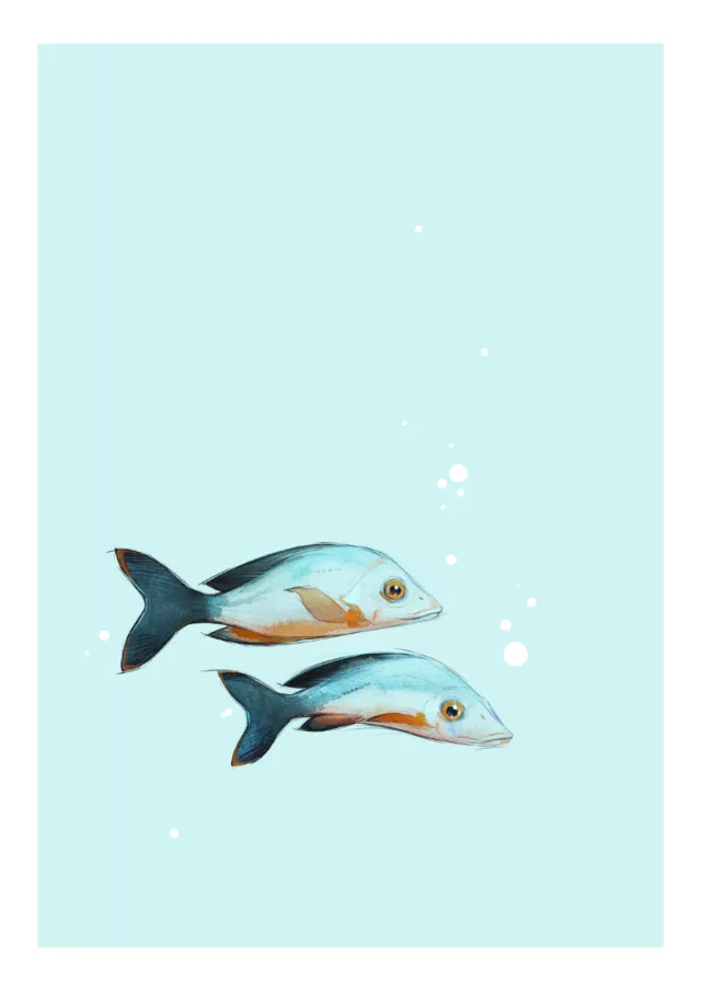 Two stylized fish swimming on a light blue background with bubbles