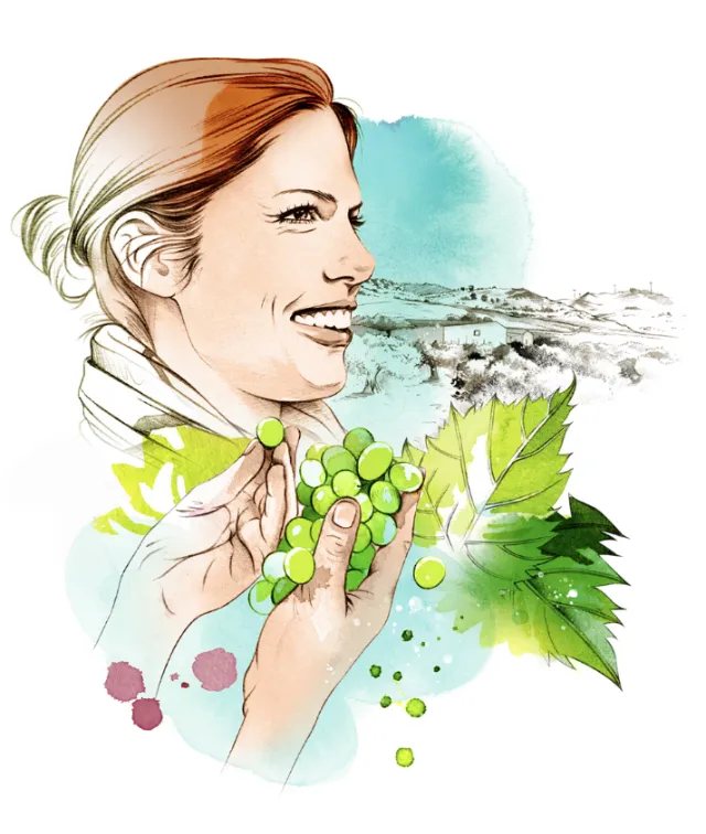 Woman holding green grapes near vineyard landscape