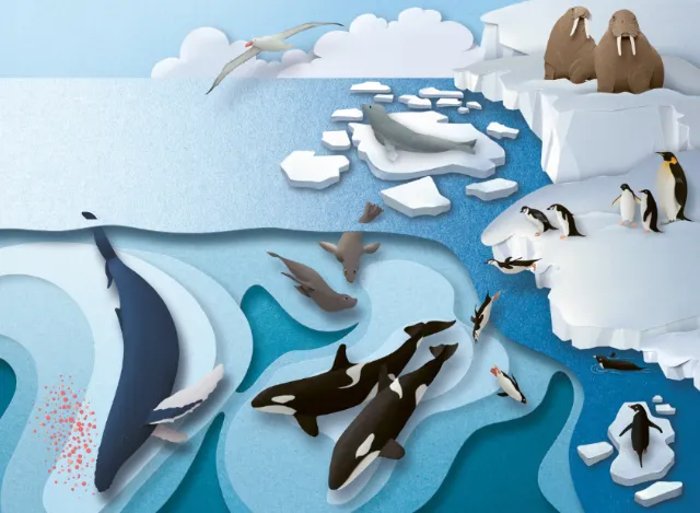 Arctic animals on ice and water, by Gail Armstrong