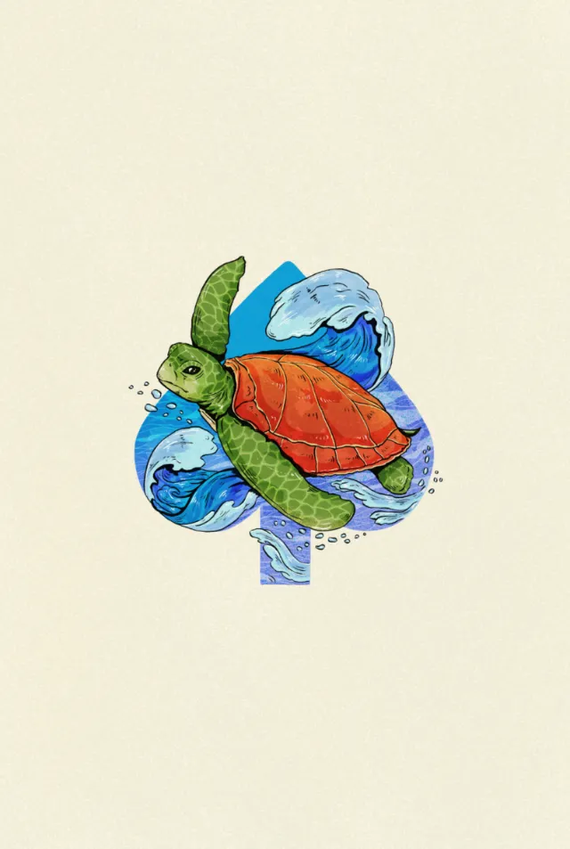 Illustration of turtle ace card deck