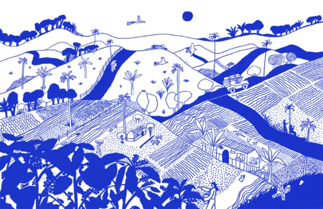 Blue and white illustration of Colombian coffee farm landscape