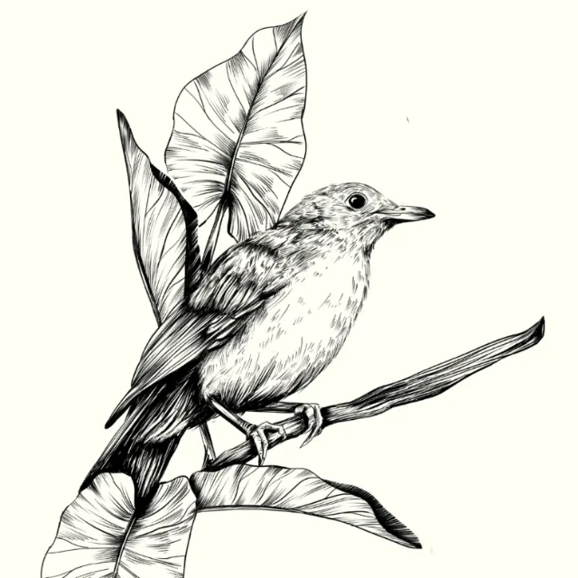 Black and white bird illustration perched on a branch with leaves