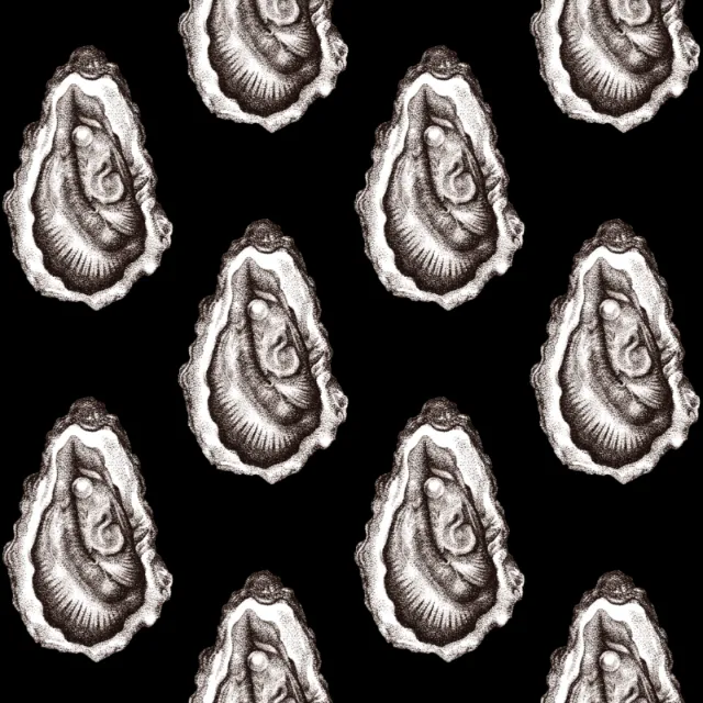 Illustration of oyster shells in black and white pattern