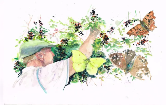 Child reaching for butterflies among green plants