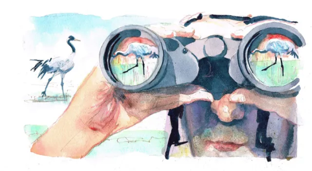 Person looking through binoculars observing birds by water, artwork by Michael Frith