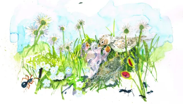Watercolor painting of ants and flowers in a grassy meadow