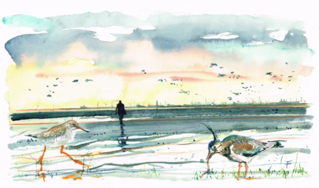 Watercolor of two shorebirds walking on a beach with a person in the distance