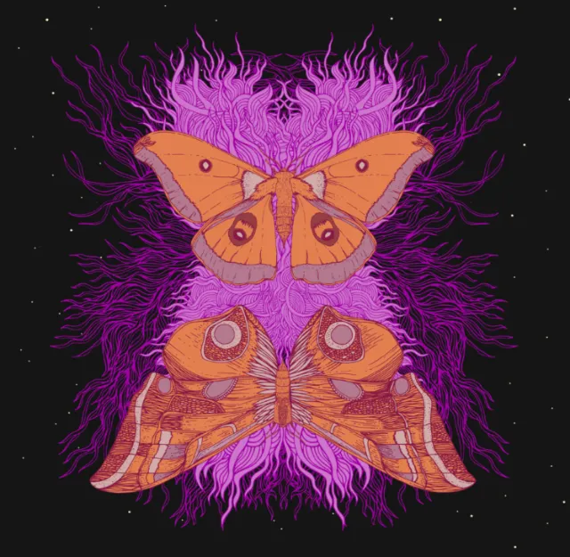 Two orange moths with purple swirls on black background
