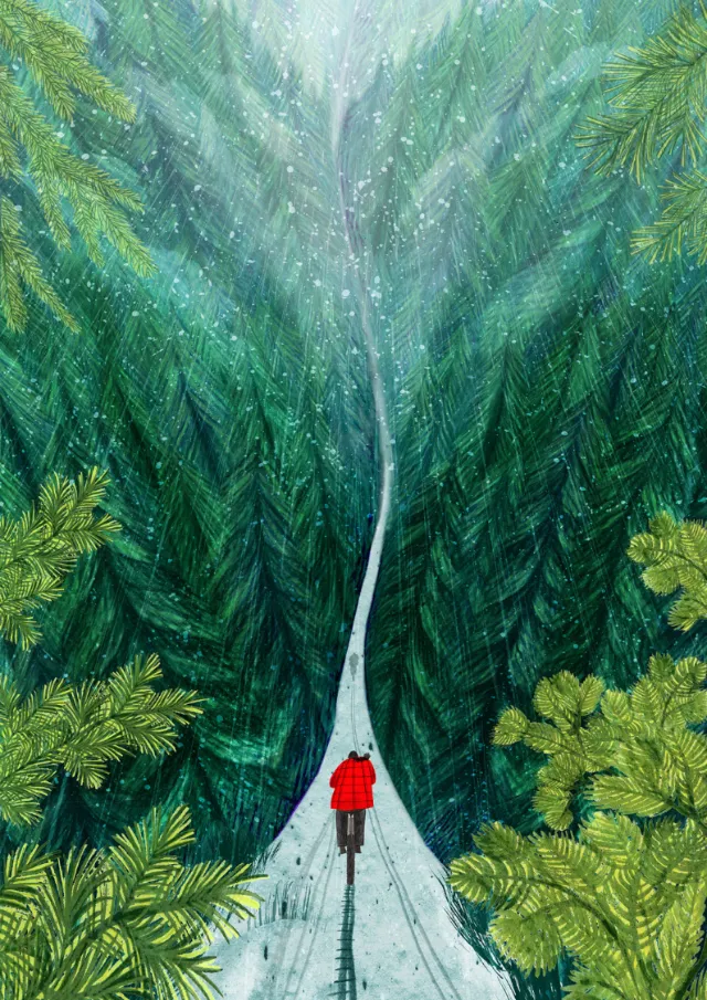 Individual walking on snow-covered trail surrounded by tall green trees