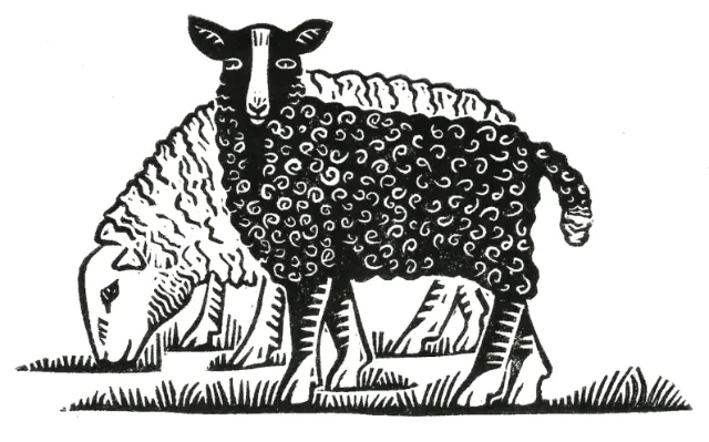 Linocut representation of two sheep
