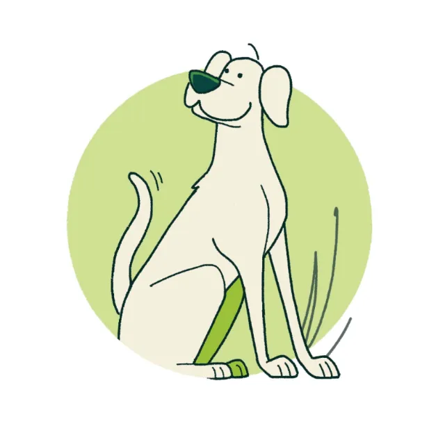 Playful dog cartoon for The Field Junior