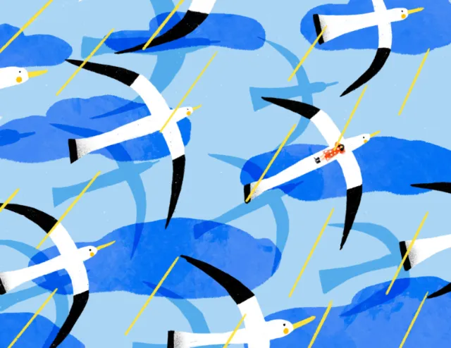 Seagulls flying above rain and blue clouds in a stylized illustration