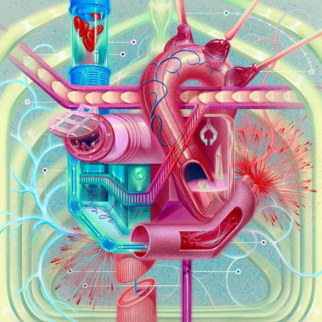Illustrations show how everyday metaphors shape how we see illness