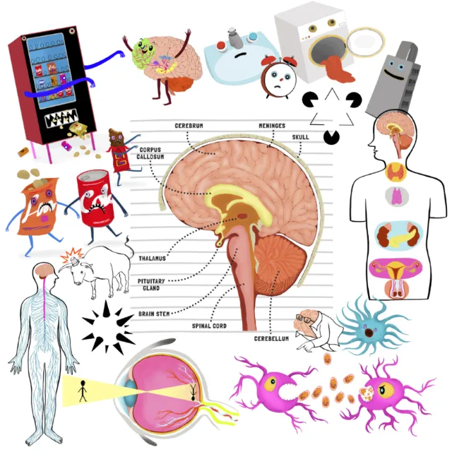 Sample image from You and Your Strange Brain book