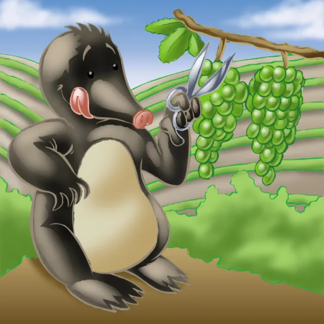 Cartoon mole cutting green grapes on a vine with scissors