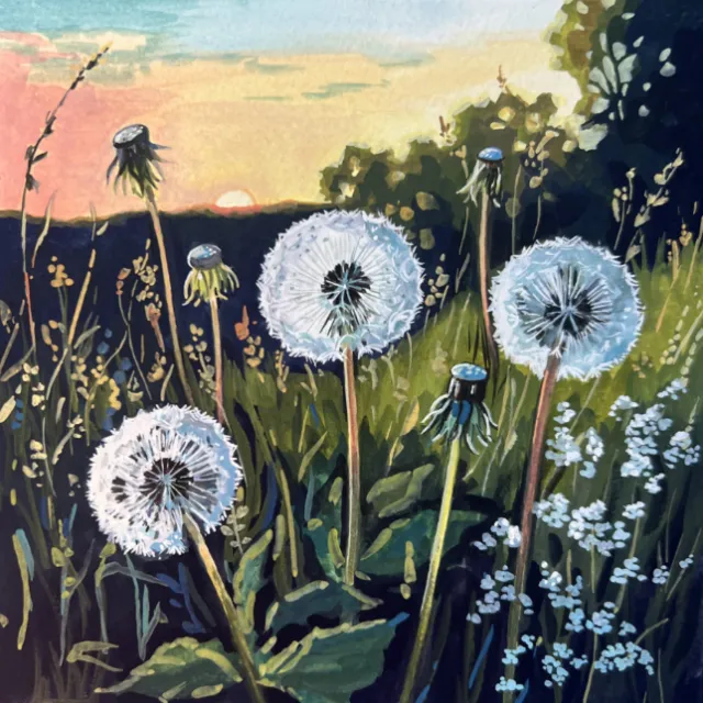 Dandelions in a grassy field during sunset with warm sky colors
