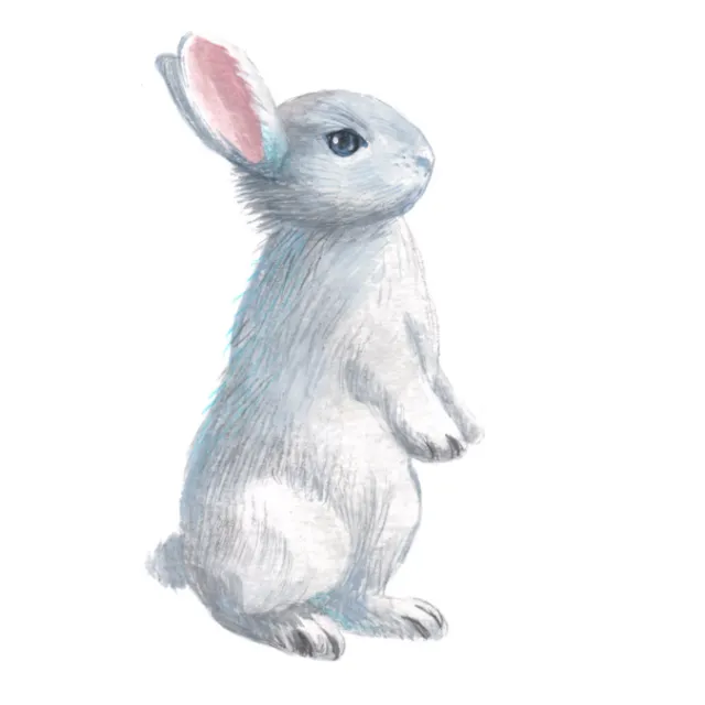 Illustration of a white rabbit standing upright with pink ears