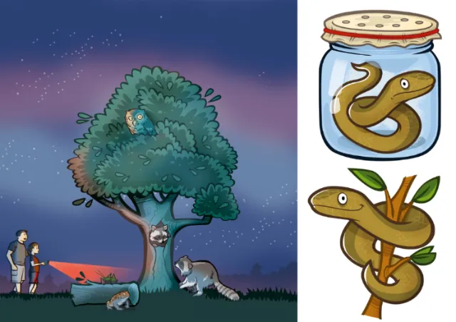 Raccoons by tree at night and snakes preserved in jars illustration
