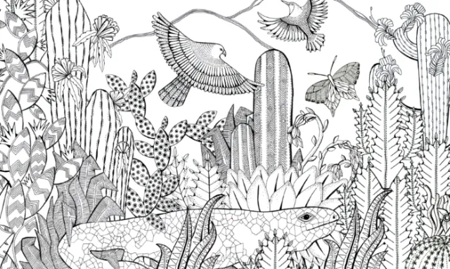 Black and white desert illustration with lizards, birds, and various cacti plants.