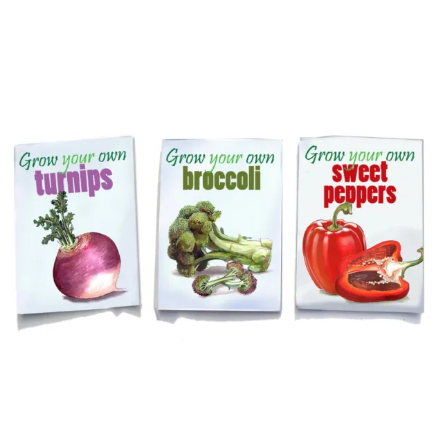 An illustrated concept for seed packets
