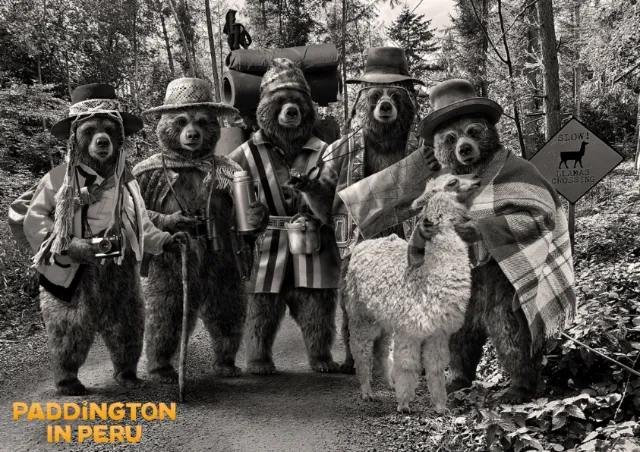 Four anthropomorphic bears wearing Peruvian clothing with an alpaca on a forest path.