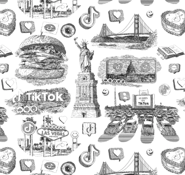 Black and white TikTok-themed toile pattern with landmarks and symbols