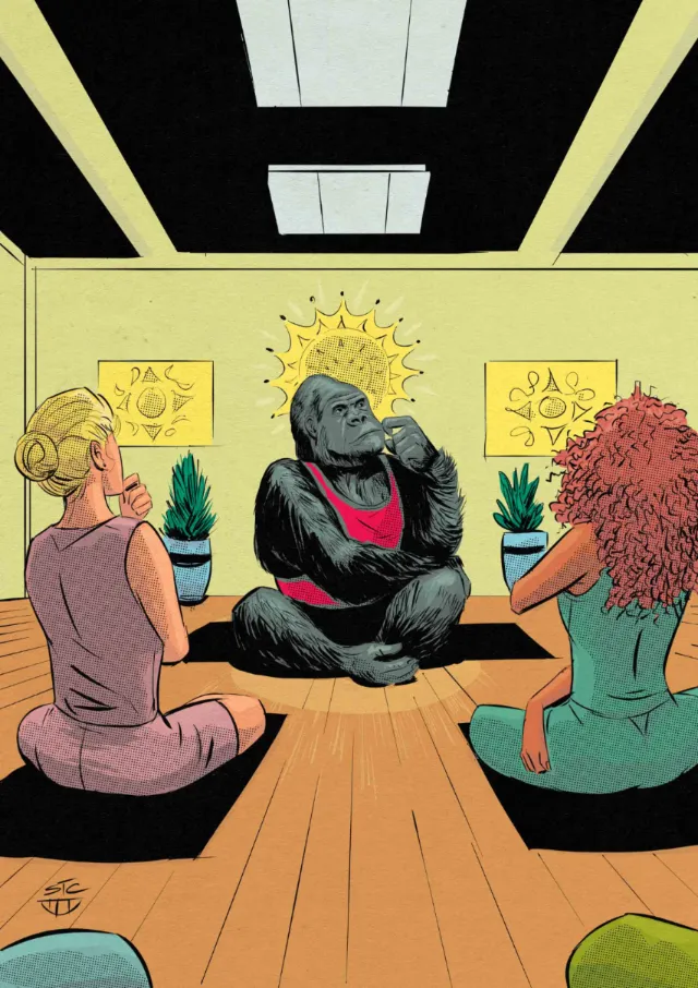 Gorilla in yoga pose with two women in a studio