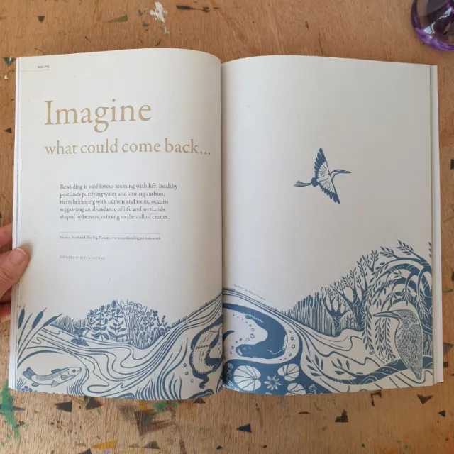 Open book with text 'Imagine what could come back' and nature drawings