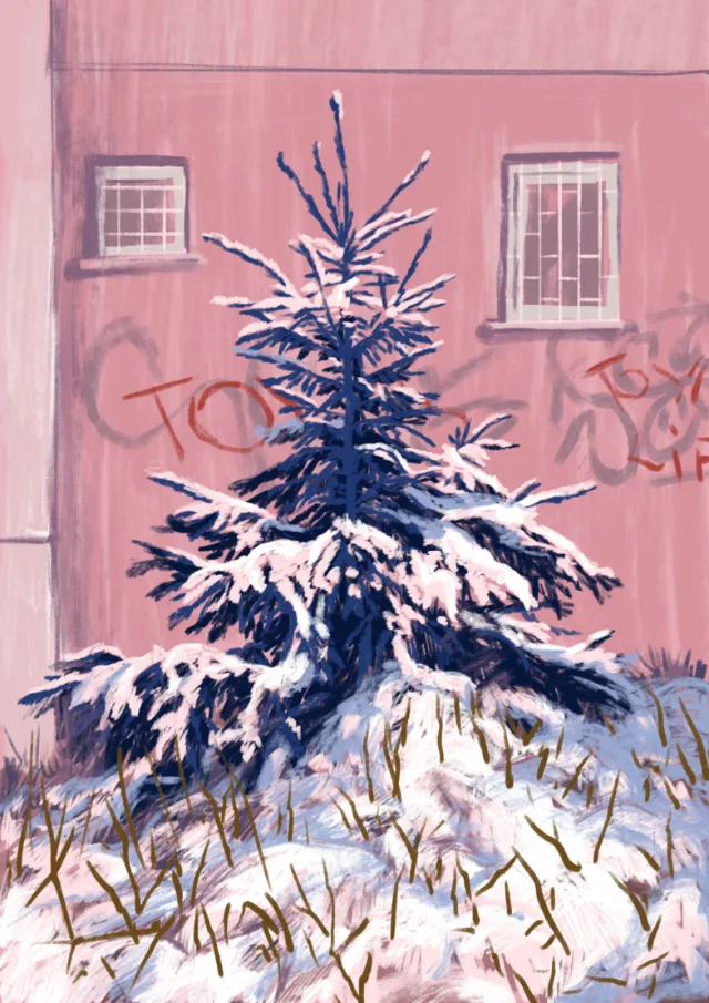 Snowy pine tree against pink wall with graffiti and windows