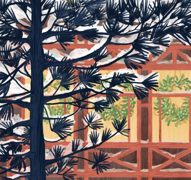 Tree with pine needles in front of wooden greenhouse with glass windows