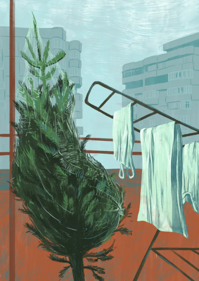 Pine tree hanging on indoor drying rack with clothes near window
