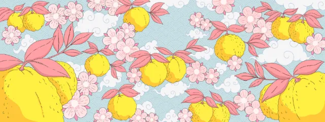 Yuzu fruits and cherry blossoms in delicate Japanese style
