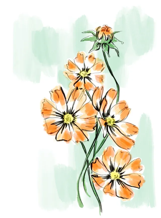 Orange flowers with green stems on light watercolor background