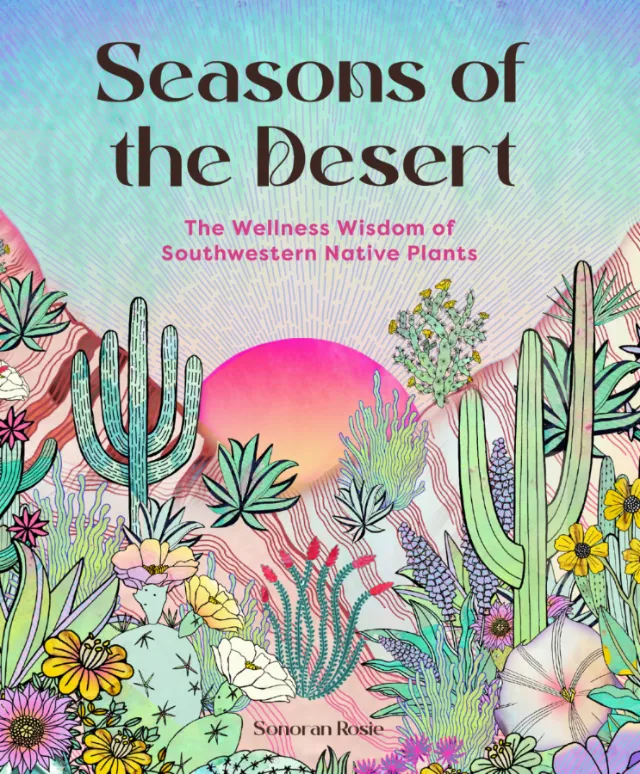Illustration of desert plants with colorful background and wellness text