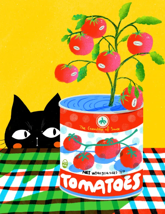 Black cat peeking at tomatoes growing from a can
