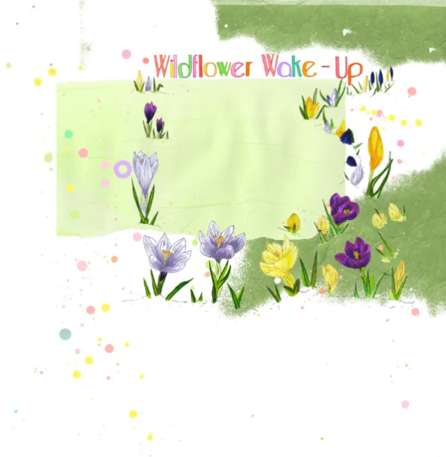Wildflower Wake-Up floral illustration by Sarah Beetson