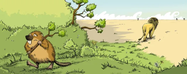 Humorous illustration of a lion walking away while a beaver looks on