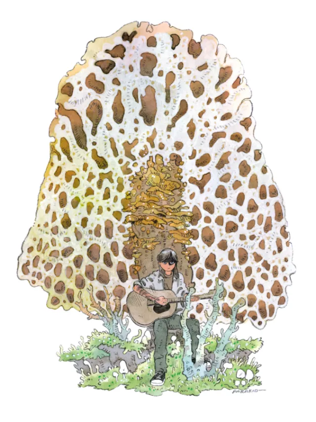 Illustration by Parakid of person playing guitar under spotted mushroom