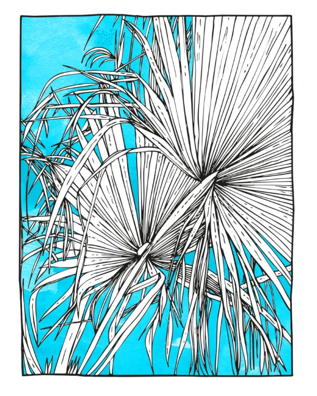 Black and white palm leaves illustration by Tobias Göbel