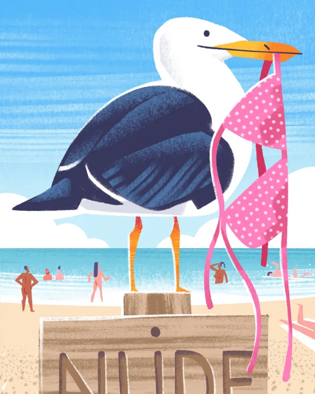Seagull holding pink polka dot bikini on a sunny beach by Drew Bardana