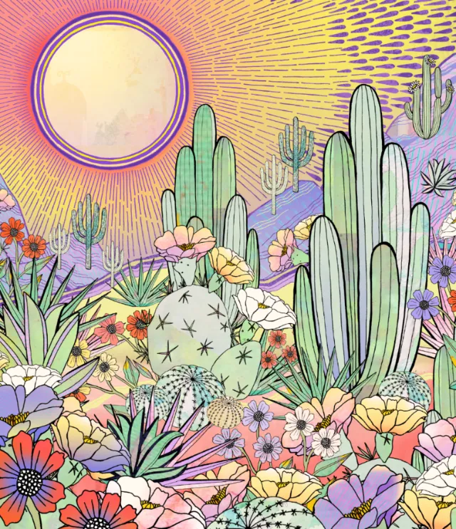 Colorful desert cactus and flowers with bright sun illustration by Hannah Davies