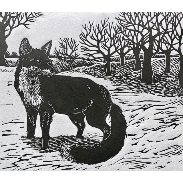 Lino print of a black fox in a snowy landscape by Emily Robertson