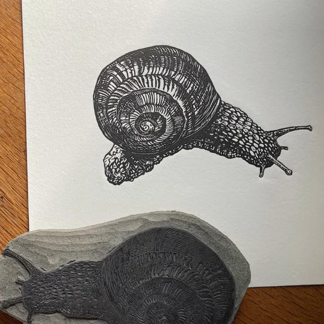 Snail lino cut print and lino block by Emily Robertson